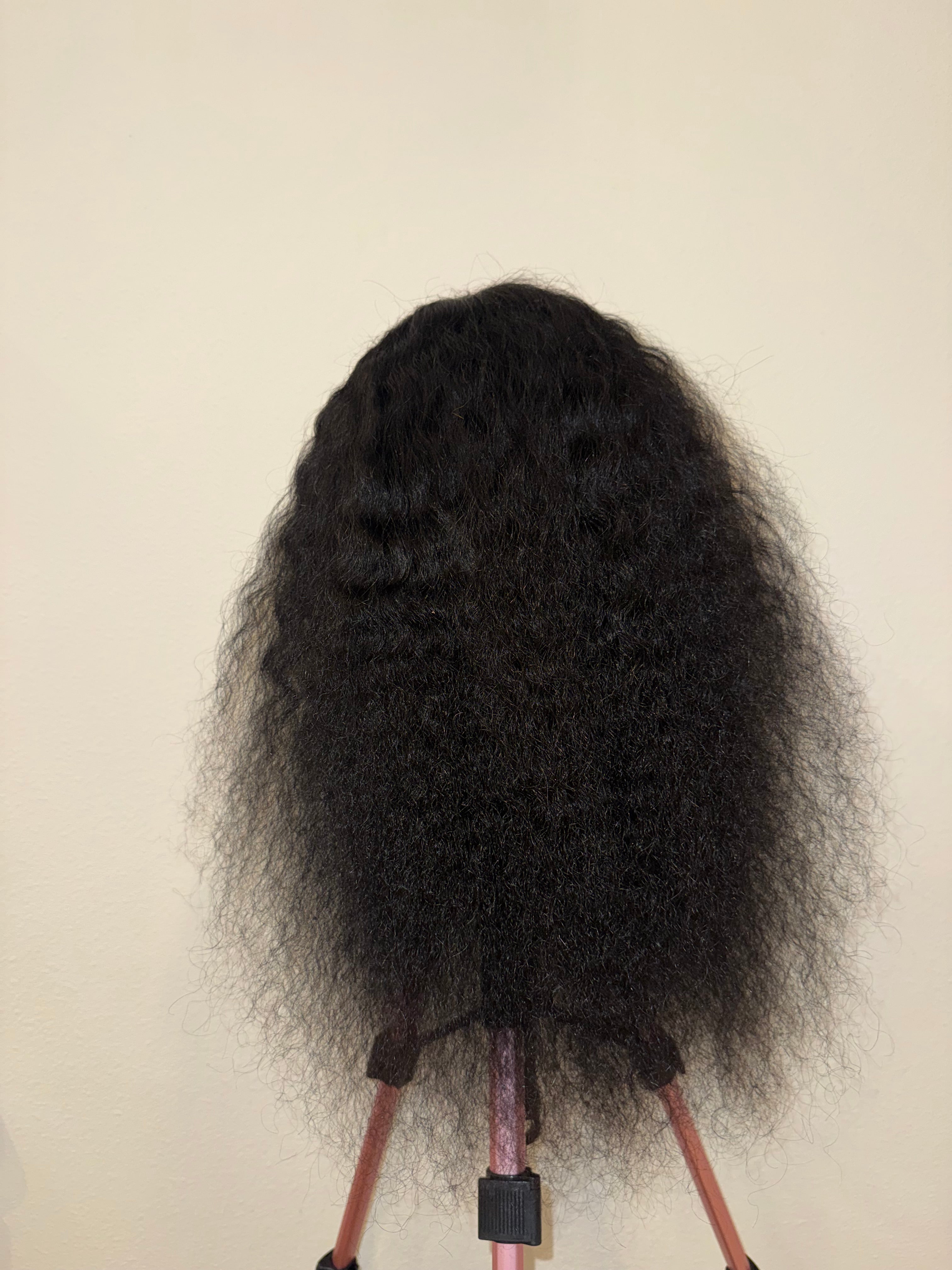 WavyTalk Wig